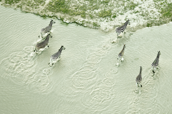 Zack Seckler