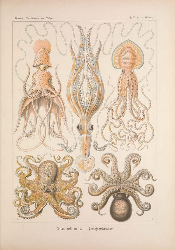 Ernst Haeckel